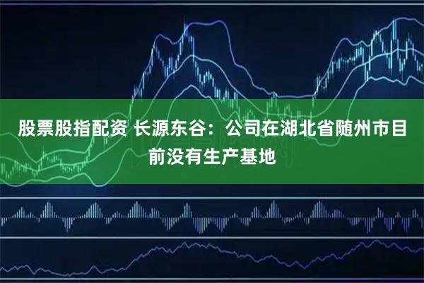 股票股指配资 长源东谷：公司在湖北省随州市目前没有生产基地